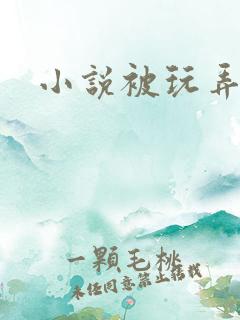 小说被玩弄调教
