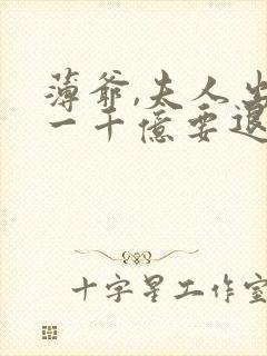 薄爷,夫人出价一千亿要退婚看