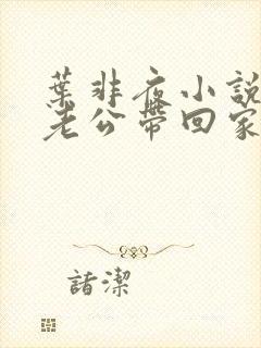 叶非夜小说国民老公带回家