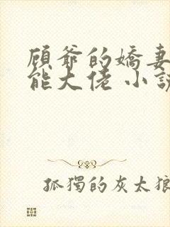 顾爷的娇妻是全能大佬 小说