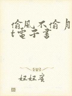 偷风不偷月txt电子书