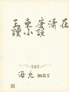 王东唐潇在线阅读小说