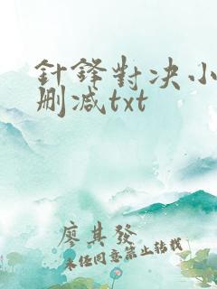 针锋对决小说未删减txt