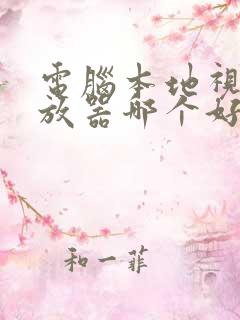电脑本地视频播放器哪个好