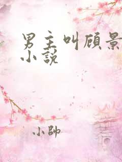 男主叫顾景琰的小说