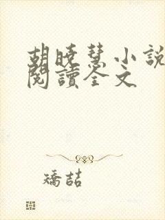胡晓慧小说在线阅读全文