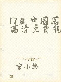 17岁中国国语高清免费观看完整版