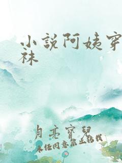 小说阿姨穿着丝袜