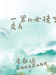 一男n女后宫男爽h