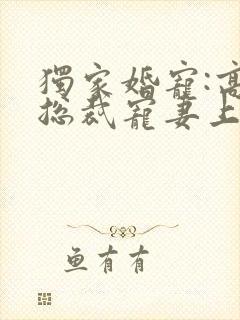 独家婚宠:高冷总裁宠妻上瘾