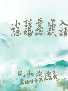 小说爱你入骨,隐婚总裁请签字未删减