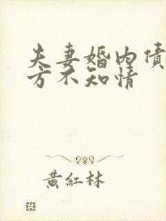 夫妻婚内债务一方不知情