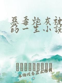恶毒炮灰被惩罚的一生小说