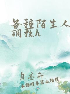 各种陌生人np调教h