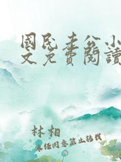 国民老公小说全文免费阅读