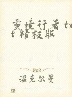 灵境行者 txt 精校版