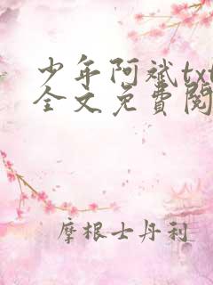 少年阿斌txt全文免费阅读小说