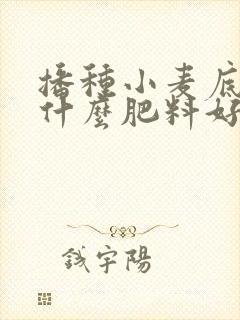 播种小麦底肥用什么肥料好