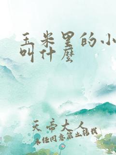 玉米里的小黑虫叫什么