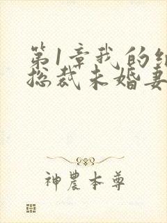 第1章我的绝色总裁未婚妻