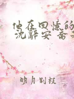 他在回忆的尽头 沈辞安 乔若兮