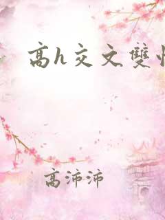 高h交文双性