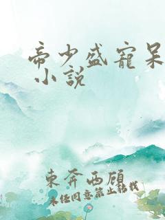 帝少盛宠呆萌妻 小说