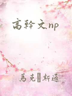高干文np