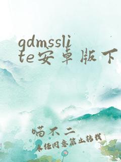gdmsslite安卓版下载