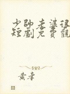 少帅老婆很凶猛短剧免费观看