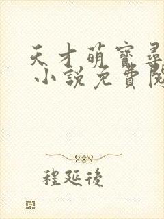 天才萌宝寻爹记 小说免费阅读