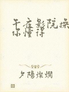 午夜影院操一操你懂得