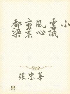 都市风云小说乔梁叶心仪