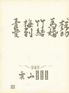 青梅竹马校园恋爱到结婚的小说