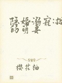 隐婚溺宠:总裁的萌妻