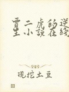 贾二虎的逆袭人生小说在线看全文