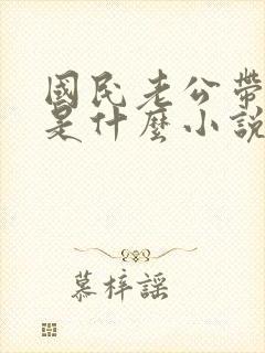 国民老公带回家是什么小说