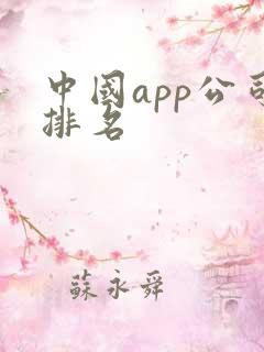 中国app公司排名