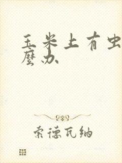 玉米上有虫子怎么办
