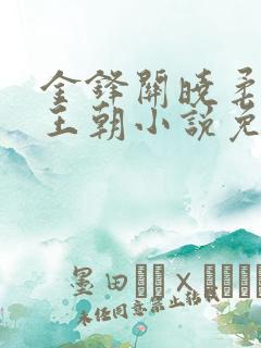 金锋关晓柔大康王朝小说免费阅读笔趣阁