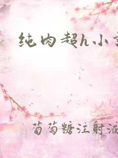 纯肉超h小说