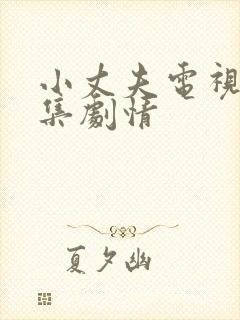 小丈夫电视剧全集剧情
