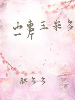 山东玉米多少钱一斤