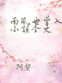 南风也曾入我怀小说全文