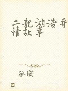 二龙湖浩哥的爱情故事