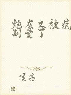 炮灰又被疯批强制爱了