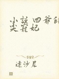小说 四爷的心尖宠妃