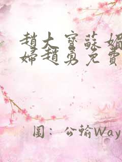 赵大宝苏媚儿媳妇赵勇免费阅读