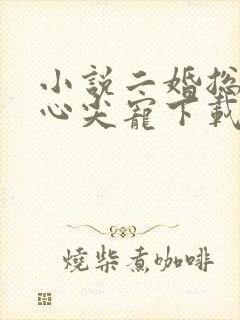 小说二婚总裁的心尖宠下载
