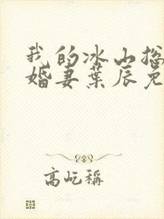 我的冰山总裁未婚妻叶辰免费